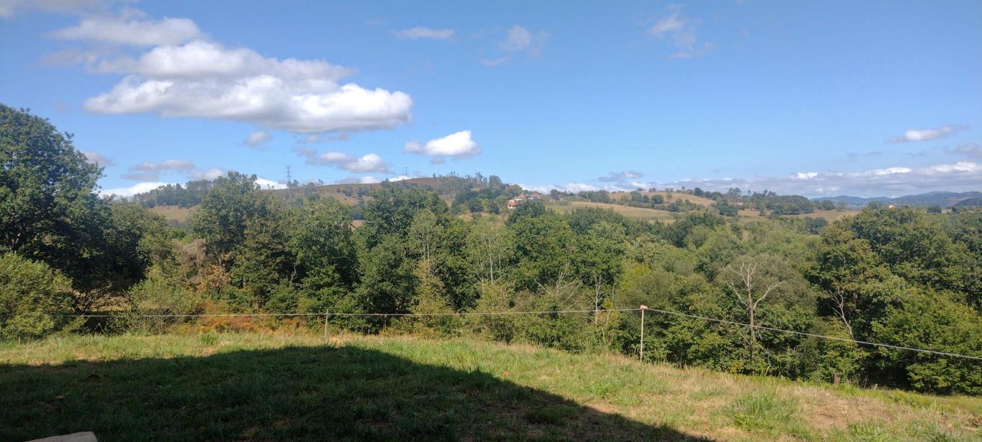 Casa Rural Tulia グラド エクステリア 写真